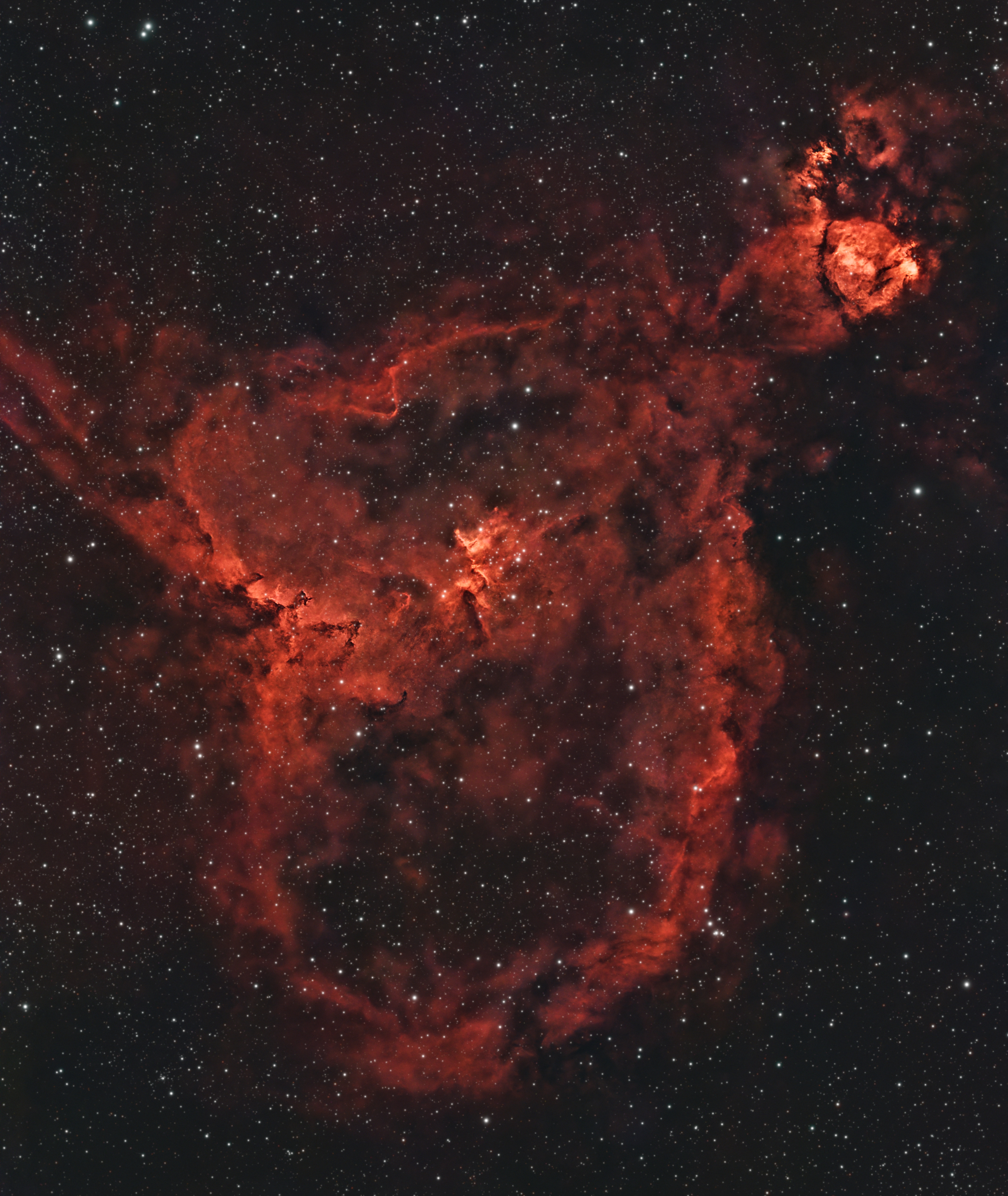 The Heart Nebula