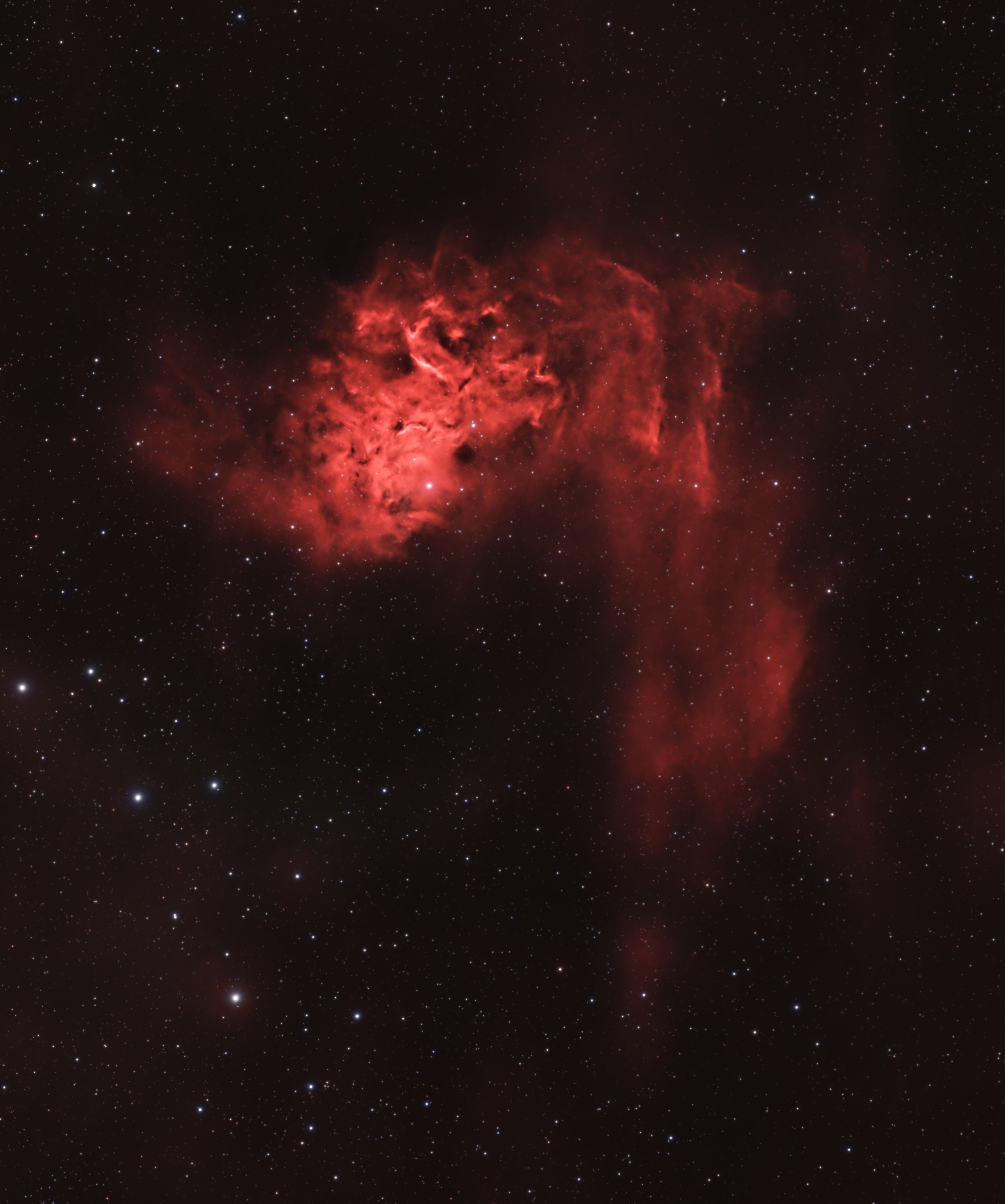 The Flaming Star Nebula